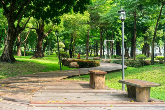 parque que muestra las zonas verdes de un lugar estratégico como es Los Cerros